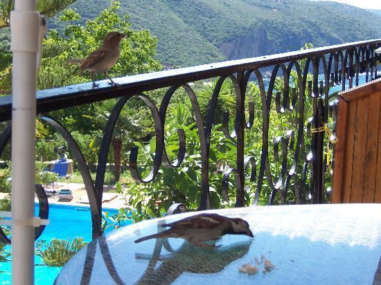 Bella Vista Hotel And Apartments Парга Екстериор снимка