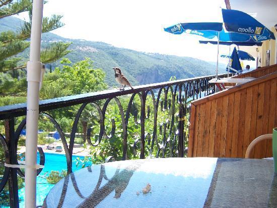 Bella Vista Hotel And Apartments Парга Екстериор снимка